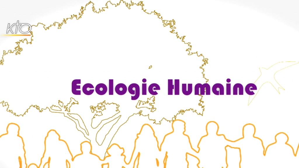 Ecologie humaine