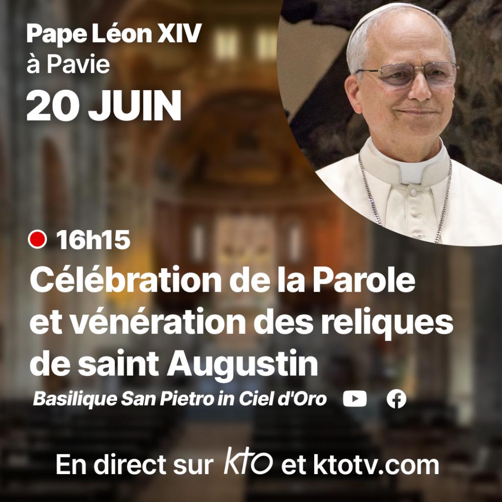 Pavie Prog