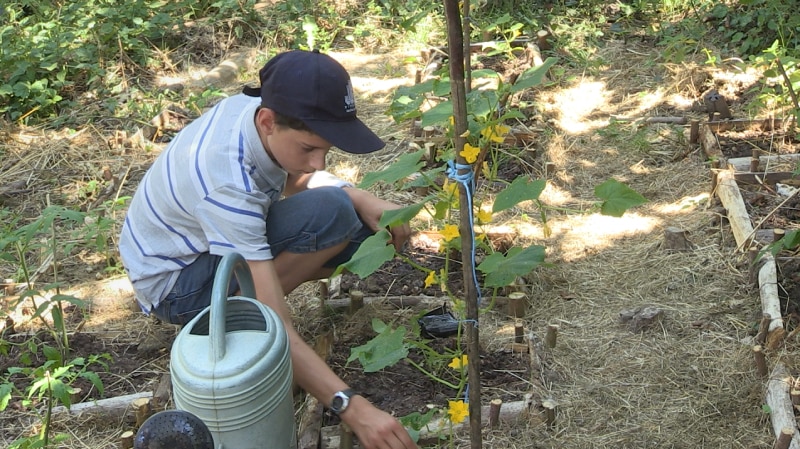Une semaine Laudato Si' pour conclure l'année dédiée à l'encyclique