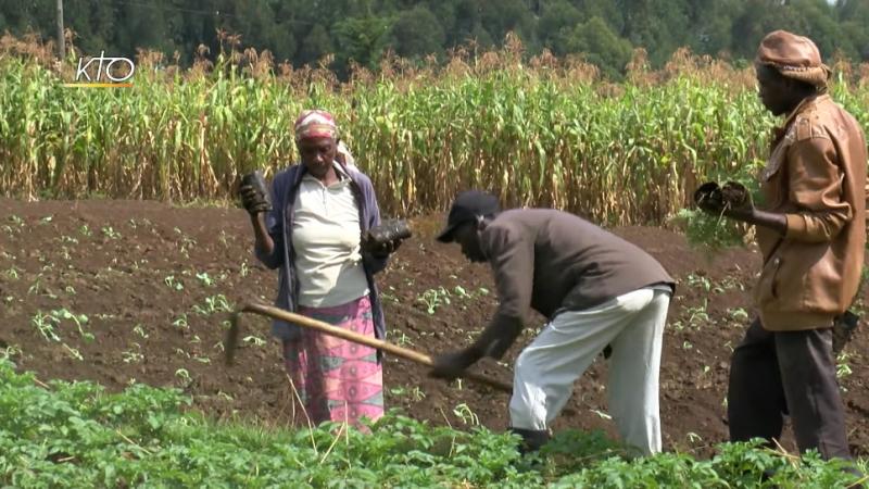 Pape : la faim, un crime qui viole les droits humains fondamentaux