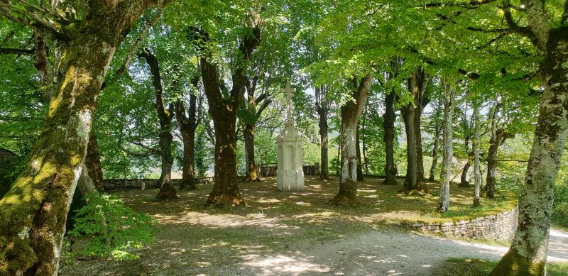 Du 1er septembre au 4 octobre 2021, le Temps de la Création