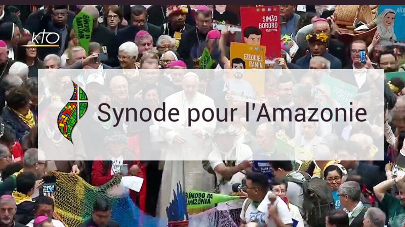 Synode Amazonie 2019