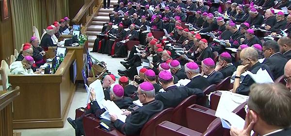 Edition spéciale - Que retenir du Synode sur l'Amazonie ?