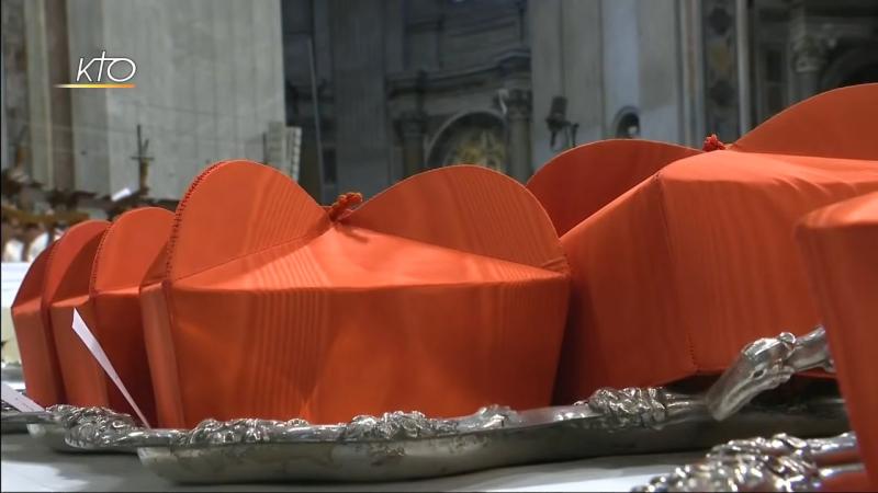 De nouveaux membres au Conseil des cardinaux