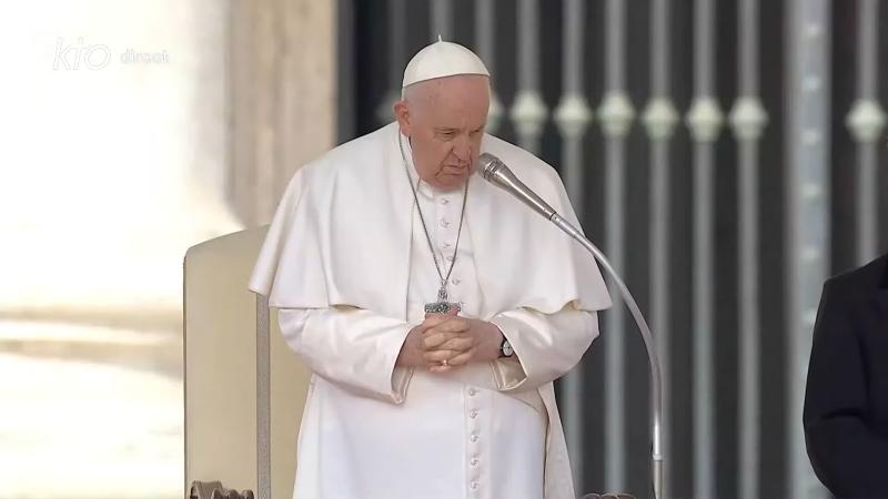 Le pape François a repris ses audiences après un épisode de fièvre
