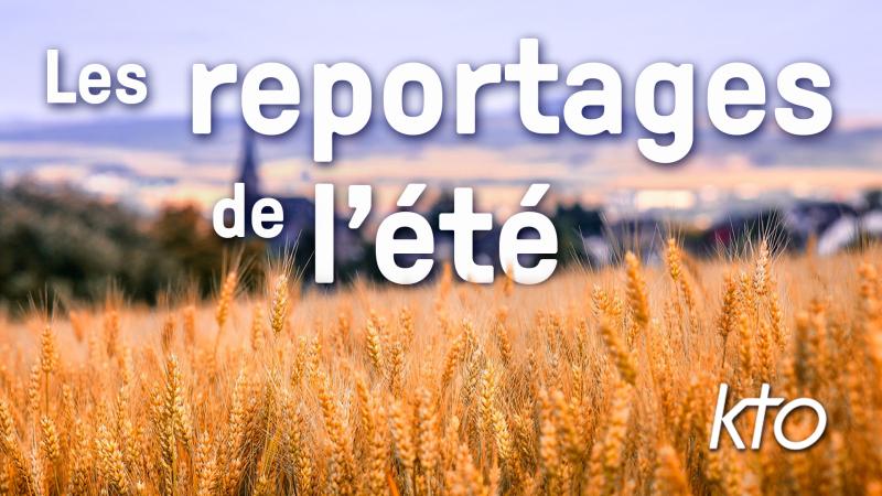 Nos reportages de l’été