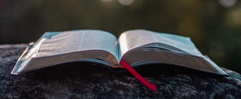 Célébrons le premier Dimanche de la Parole de Dieu