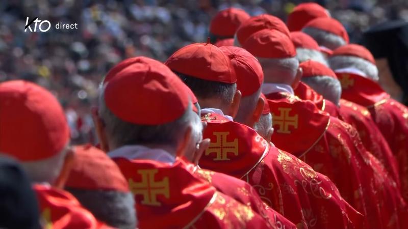 Conclave 2025 : (re)découvrez les entretiens de KTO avec des cardinaux électeurs