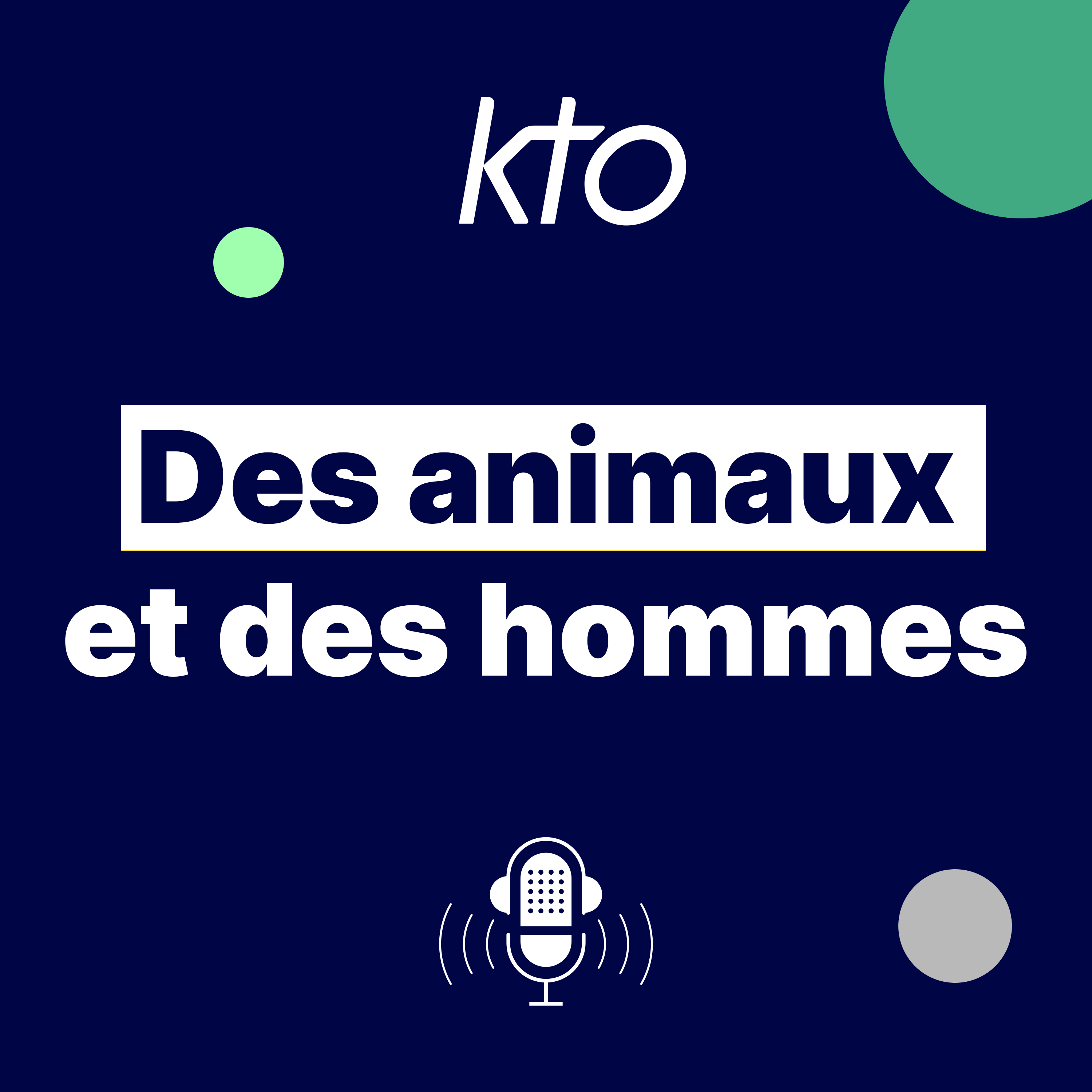 Le retour de la SANGSUE MEDICINALE